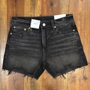American Eagle Outfitters Dark Wash Jean Shorts